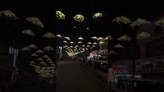 #korba Bhavya Yatra#shorts #video #shortvideo #ytstudioes #food #youtube #viralreels