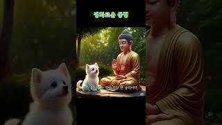 내면의 평화: 함께하는 존재들의 아름다운 조화 #마음의평화 #명언 #무설스님