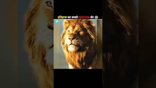 The Most Powerful Lion In History #shorts #animals #lion