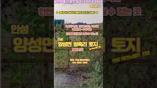 안성 양성면 방축리 토지 (농림,답) 1,220평 매매 (5억) 현황 전(나무식재) #shrots