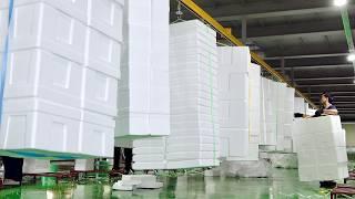 How Korea’s Largest Styrofoam Box Factory Mass Produces Millions of Foam Boxes Every Day