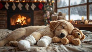 12 Hours Of Relaxing Music For DogsEase Breakup AnxietyPet Music Deep Sleep