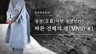 정견(正見)이란 무엇인가? #1ㅣ바른 견해의 경(MN9) l 혜안스님