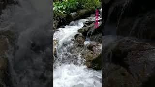 Stormy Gold-bearing Mountain River.  Carpathians. Ukraine ️ #nature #sounds_of_nature  #relaxation