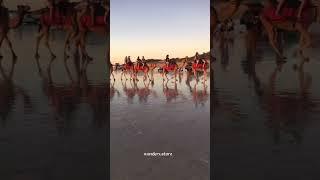 Sydney Australia, unforgettable | WanderX