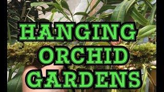 HOW TO BUILD A HANGING MOSSY ORCHID GARDEN/ HANGING ORCHID GARDEN TIPS 1080p