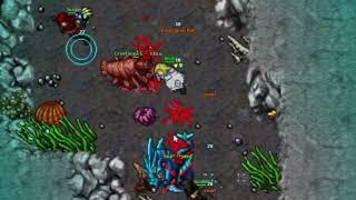 Zenith OT - Custom 7.72 Server Teaser