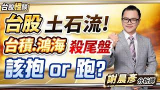 2024.12.20【台股土石流!台積.鴻海殺尾盤 該抱 or 跑?】台股怪談 謝晨彥分析師