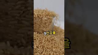 건강에 좋은 바나나, 당신이 몰랐던 놀라운 효능과 주의해야할 부작용 #건강정보 #효능 #과일 #채소