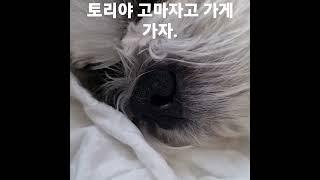 토리야 가게가자.모든분들 불금잘보네세요.  토리올림
