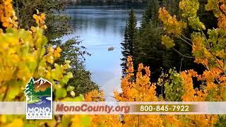 Mono County Fall Colors