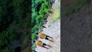 paaro