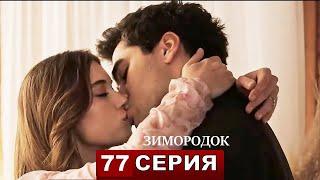 Зимородок 77 серия русская озвучка