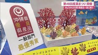 県産品一堂に揃う第４８回沖縄の産業まつり開催 (24/10/25 11:45)