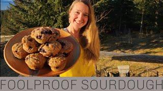 Simple Sourdough Muffins: Step by Step || By Eve Kilcher's Homestead Kitchen