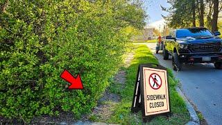 NO WAY This Overgrown Sidewalk Is SAFE To Use | Let's Restore This Mess!