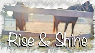 Morning Barn Chores | Routine