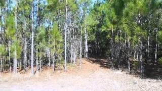 Homes for Sale - 0 Mitcham Road Ludowici GA 31316 - Charles Duncan