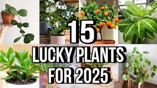 BEST LUCKY RARE PLANTS FOR 2025 | FENG SHUI PLANTS FOR 2025 | LUCKY PLANTS FOR HOME & WORK