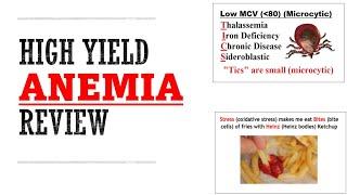 Anemia Review | Mnemonics And Proven Ways To Memorize for your exams!