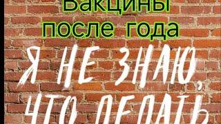 Делать или нет собакам вакцины после года