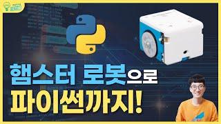 [인공지능 코딩교구] 햄스터 로봇으로 파이썬까지