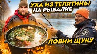 ЛОВИМ ЩУКУ. УХА ИЗ ТЕЛЯТИНЫ НА РЫБАЛКЕ