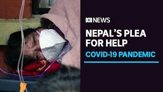 COVID-19 cases spilling over from India sees Nepal grappling with infection surge | ABC News