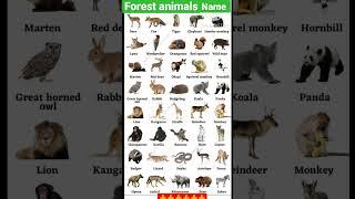 forest animals name/#shortsvideo #viralvideo #ytshorts #tsonali