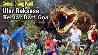 Ular Raksasa Tiba2 Keluar Dari Dalam Goa Gegerkan Warga