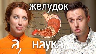 Откуда у нас изжога, ожирение, несварение и глисты? Доктор Сергей Вялов про желудок