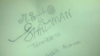 New bangla song 2018-shadman sakib....shadman terribles ltd