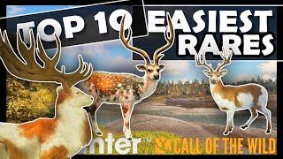 Top 10 EASIEST RARES in Call of the Wild 2024/25!!!