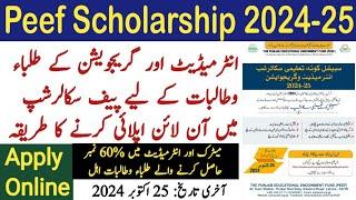 peef scholarship form fill karne ka tarika 2024 | peef special quota scholarship apply online 2024