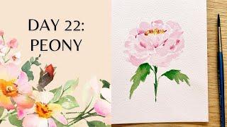 Day 22 - watercolor peony