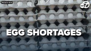 National egg shortage hits the Northstate, including Redding health food store