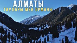  Алматының таулары мен орманы