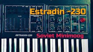 Estradin - 230 | Эстрадин-230 Soviet analog synthesizer | Minimoog copy | pre-Behringer era