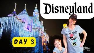 Fireworks and a Freebie Disneyland Vlog - First Time at Disneyland as a Magic Key Holder (Part 2)