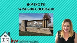 Moving to Windsor Colorado