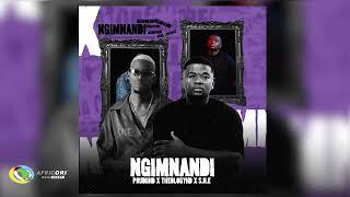 PrudiiHD, S.N.E and TheologyHD - Ngimnandi [Feat. Jay Sax] (Official Audio)