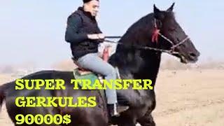 SUPER TRANSFER TULPOR OT GERKULES 90000$GA SIRDARYOGA SOTILDI