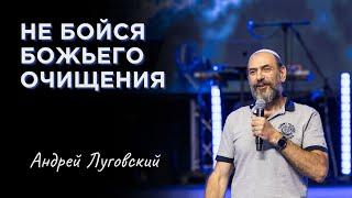 Не бойся Божьего очищения | Андрей Луговский