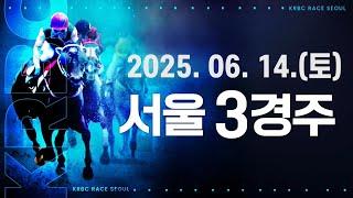 (서울) 2025.06.14 3경주