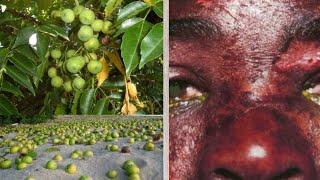 10 most fatal Poisonous plants By Anmol Samsuhang