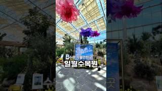 #수원가볼만한곳 #일원수목원 #수원수목원 #밤빛정원 #일월수목원모네 #일원수목원전시 #일월수목원야간프로그램