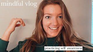 MINDFUL VLOG: time w fam, developing healthy habits, improving mindset, & real car chats