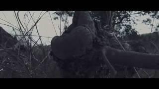 Oak (Portugal) - Lone Album Teaser (Atmospheric Death/Doom Metal) Transcending Obscurity