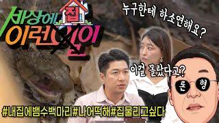 영끌해서 마련한 내집아래 뱀 굴이? 이걸 누구한테 얘기해?  [AtlantaBDS /조지아 애틀랜타 부동산]