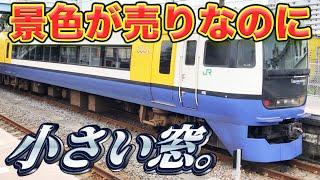 255系は本当に「ビュー」なのか？【新宿わかしお】